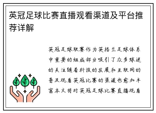 英冠足球比赛直播观看渠道及平台推荐详解